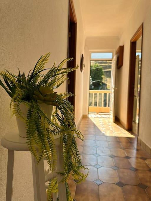 Casa De Sergude Peso da Regua Bagian luar foto